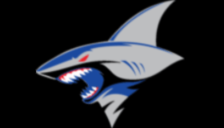 a scary-looking shark logo